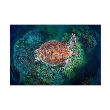 Barathieu Gabriel 'Ngouja Reef' Canvas Art, 30x47